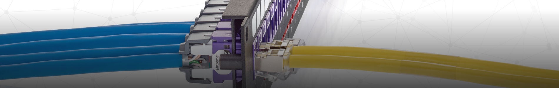 EXTRÊME SST Chat 6A UTP MILLÉNAIRE Système