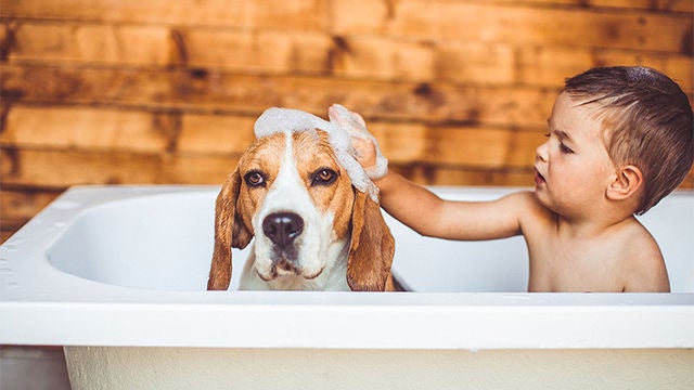 Enfant et son chien prise un bain