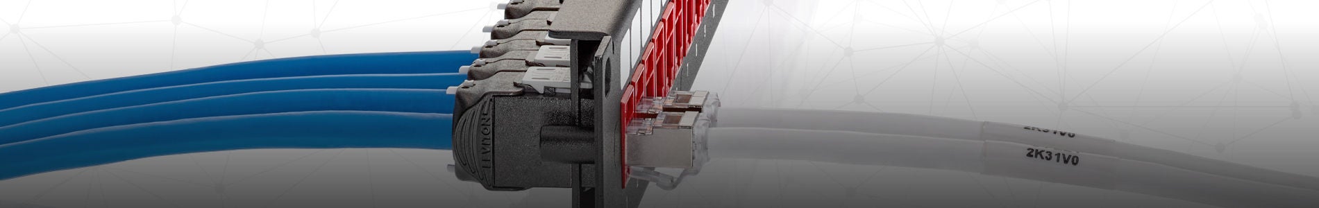 ATLAS-X1 SST Chat 6A UTP MILLÉNAIRE Système