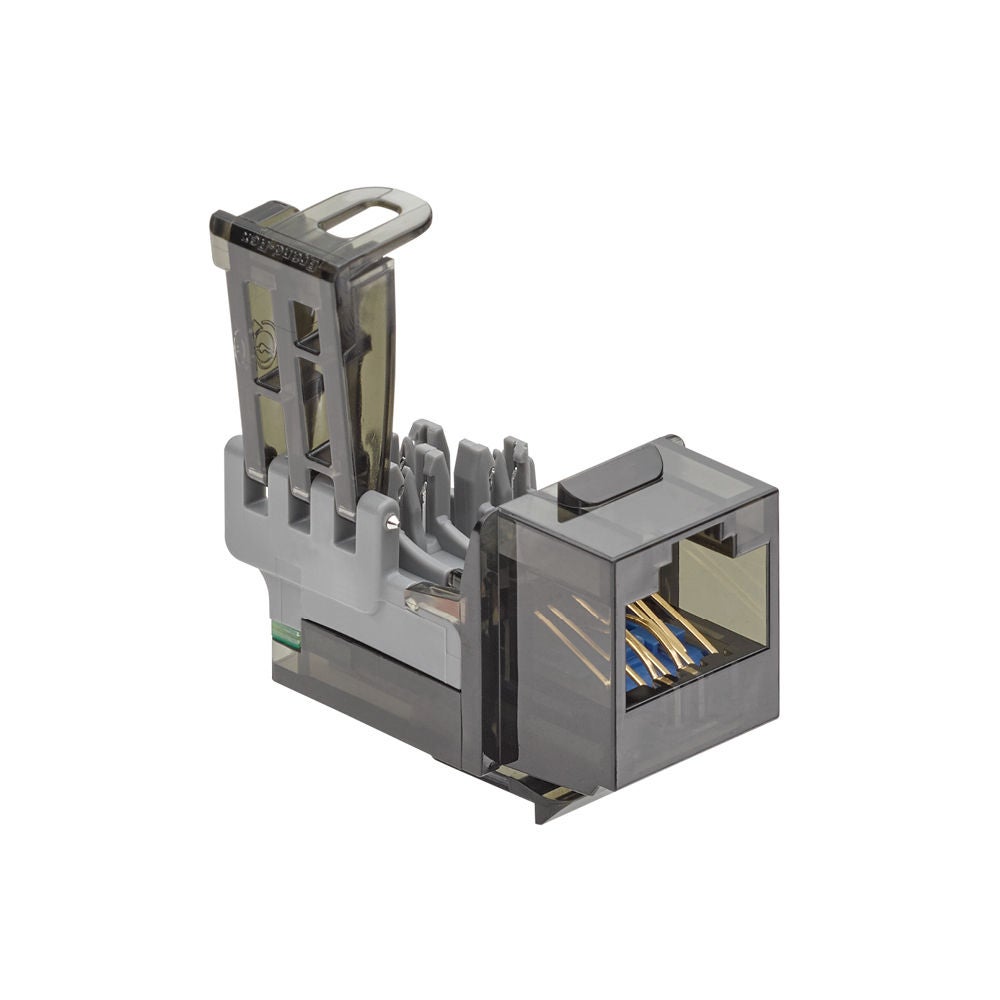 GigaPlus Chat 5e Système