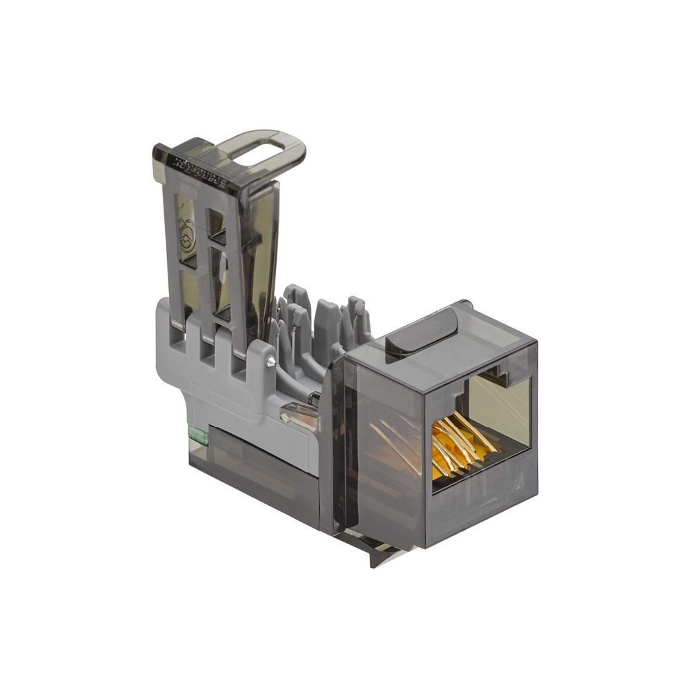 Cat6Plus Chat 6 Système