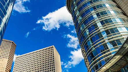 Intellect partenaires